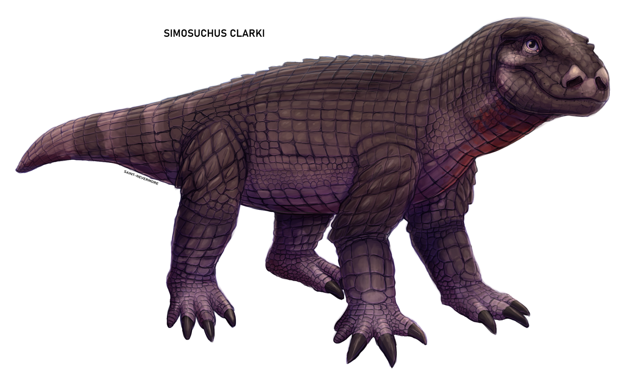 Simosuchus